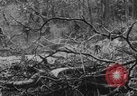 Image of Vietnam War bombing footage Vietnam, 1965, second 24 stock footage video 65675056507