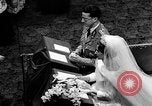 Image of marriages and new births United States USA, 1961, second 12 stock footage video 65675056514