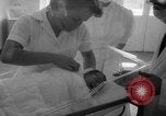 Image of marriages and new births United States USA, 1961, second 44 stock footage video 65675056514