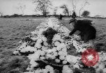 Image of Tragedy strikes village in Wales Aberfan Wales United Kingdom, 1966, second 22 stock footage video 65675056531