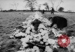 Image of Tragedy strikes village in Wales Aberfan Wales United Kingdom, 1966, second 23 stock footage video 65675056531