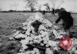 Image of Tragedy strikes village in Wales Aberfan Wales United Kingdom, 1966, second 24 stock footage video 65675056531