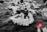Image of Tragedy strikes village in Wales Aberfan Wales United Kingdom, 1966, second 27 stock footage video 65675056531