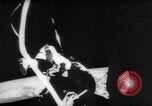 Image of NASA Gemini spaceship achievements in 1966 United States USA, 1966, second 39 stock footage video 65675056534