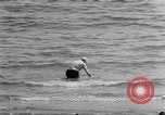 Image of British Prime Minister Winston Churchill Venice Italy, 1951, second 23 stock footage video 65675056537