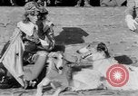 Immagine di Festival Quintana Foligno ITALIA, 1951, secondo 35 filmato di repertorio 65675056539