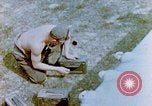 Image P-51 avions Allemagne, 1945, de la seconde 7 séquences d'archives historiques vidéo 65675056553