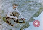 Image P-51 avions Allemagne, 1945, de la seconde 10 séquences d'archives historiques vidéo 65675056553