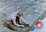 Image P-51 avions Allemagne, 1945, de la seconde 19 séquences d'archives historiques vidéo 65675056553