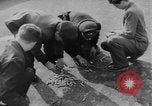 Image révolte hongroise Budapest Hongrie, 1956, de la seconde 24 séquences d'archives historiques vidéo 65675056556