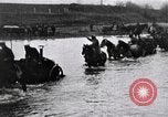 Image of war-weary Russian troops returning home Russia, 1917, second 9 stock footage video 65675056561
