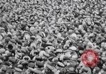 Image of White Russian Guards Saint Petersburg Russia, 1917, second 32 stock footage video 65675056564