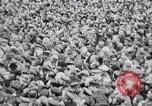 Image of White Russian Guards Saint Petersburg Russia, 1917, second 33 stock footage video 65675056564