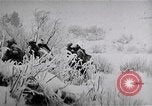 Image of White Russian refugees Siberia, 1918, second 7 stock footage video 65675056565