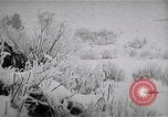 Image of White Russian refugees Siberia, 1918, second 10 stock footage video 65675056565