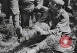 Image Fédération de soldats du Gouvernement provisoire la Russie, 1917, de la seconde 40 séquences d'archives historiques vidéo 65675056571