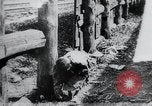 Standbild russischen Bürgerkrieg Russland, 1918, aus Sekunde 32 historischem Filmmaterial Videoclip 65675056600
