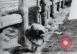 Standbild russischen Bürgerkrieg Russland, 1918, aus Sekunde 34 historischem Filmmaterial Videoclip 65675056600