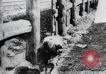 Standbild russischen Bürgerkrieg Russland, 1918, aus Sekunde 35 historischem Filmmaterial Videoclip 65675056600