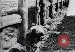 Standbild russischen Bürgerkrieg Russland, 1918, aus Sekunde 36 historischem Filmmaterial Videoclip 65675056600