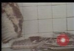 Immagine di Crisi in Polonia Polonia, 1980, secondo 60 filmato di repertorio 65675056602