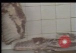 Immagine di Crisi in Polonia Polonia, 1980, secondo 61 filmato di repertorio 65675056602