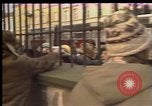 Image Crise en Pologne Pologne, 1981, de la seconde 27 séquences d'archives historiques vidéo 65675056608
