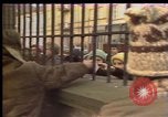 Image Crise en Pologne Pologne, 1981, de la seconde 29 séquences d'archives historiques vidéo 65675056608
