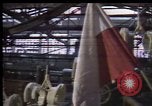 Image Crise en Pologne Pologne, 1981, de la seconde 40 séquences d'archives historiques vidéo 65675056610