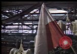 Image Crise en Pologne Pologne, 1981, de la seconde 41 séquences d'archives historiques vidéo 65675056610