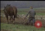 Image of Crises in Poland Poland, 1981, second 19 stock footage video 65675056614