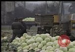 Image of Crises in Poland Poland, 1981, second 23 stock footage video 65675056614