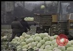 Image of Crises in Poland Poland, 1981, second 24 stock footage video 65675056614
