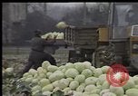 Image of Crises in Poland Poland, 1981, second 25 stock footage video 65675056614