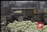 Image of Crises in Poland Poland, 1981, second 26 stock footage video 65675056614