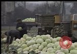 Image of Crises in Poland Poland, 1981, second 27 stock footage video 65675056614