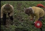 Image of Crises in Poland Poland, 1981, second 28 stock footage video 65675056614