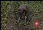Image of Crises in Poland Poland, 1981, second 30 stock footage video 65675056614