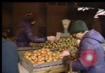 Image of Crises in Poland Poland, 1981, second 46 stock footage video 65675056614