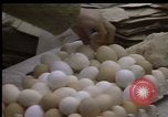 Image of Crises in Poland Poland, 1981, second 48 stock footage video 65675056614
