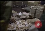 Image of Crises in Poland Poland, 1981, second 52 stock footage video 65675056614