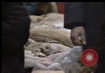 Image of Crises in Poland Poland, 1981, second 59 stock footage video 65675056614