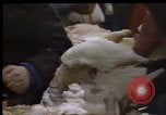 Image of Crises in Poland Poland, 1981, second 60 stock footage video 65675056614