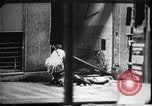 Immagine di Il comunismo sovietico in Cecoslovacchia La Cecoslovacchia, 1968, secondo 9 filmato di repertorio 65675056629