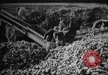 Immagine di Il comunismo sovietico in Cecoslovacchia La Cecoslovacchia, 1968, secondo 47 filmato di repertorio 65675056629