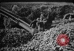 Immagine di Il comunismo sovietico in Cecoslovacchia La Cecoslovacchia, 1968, secondo 48 filmato di repertorio 65675056629