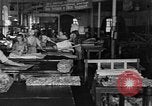 Image of Russians resume peaceful pursuits after World War II Moscow Russia Soviet Union, 1946, second 3 stock footage video 65675056633