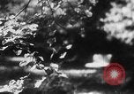 Image of Vladimir Lenin's death Gorki Russia, 1924, second 5 stock footage video 65675056664