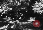 Image of Vladimir Lenin's death Gorki Russia, 1924, second 7 stock footage video 65675056664