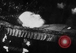 Image of Vladimir Lenin's death Gorki Russia, 1924, second 45 stock footage video 65675056666